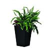Rattan Planter S Květináč 29 x 29 x 44 cm - antracit KETER 228978