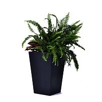 Rattan Planter M  Květináč 39 x 39 x 57 cm - antracit KETER 228974