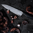 Taiten Velký kuchařský nůž 20 cm FISKARS 1066830